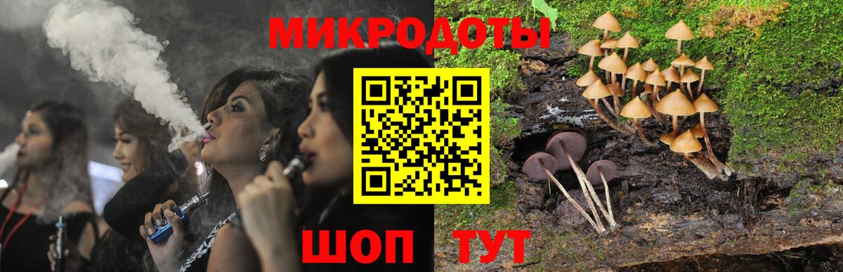 Кизилюрт  Псилоцибиновые грибы Psilocybine cubensis  закладки  Вход с VPN 