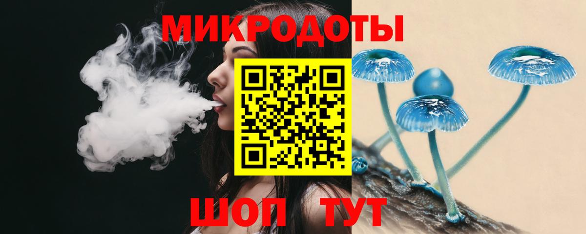 Галлюциногенные грибы Psilocybe Кизилюрт